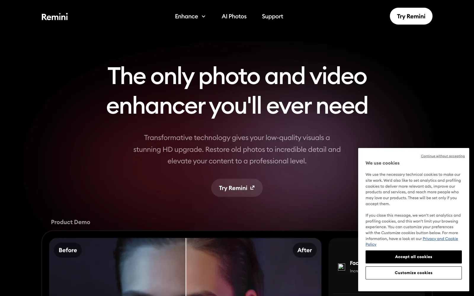 Remini homepage screenshot